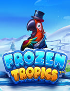 วิธีเล่น สล็อต โจ๊ก เกอร์ แบบมือโปร ก็ไม่มีเหงา